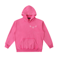 He is Risen Hoodie
